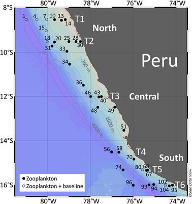 Toward a Solution of the “Peruvian Puzzle”: Pelagic Food-Web Structure and Trophic Interactions in the Northern Humboldt Current Upwelling System Off Peru